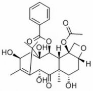 10-脱乙酰巴卡亭 分析标准品,HPLC≥98% 32981-86-5