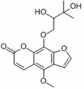 白当归素 分析标准品,HPLC≥98% 19573-01-4