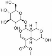 莫诺苷 分析标准品,HPLC≥97% 25406-64-8