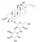 (R型)人参皂苷Rg2 分析标准品,HPLC≥98%  80952-72-3