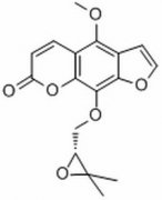 白当归脑 分析标准品,HPLC≥98% 26091-79-2