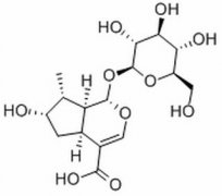 马钱苷酸 分析标准品,HPLC≥98% 22255-40-9