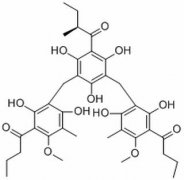 仙鹤草酚B 分析标准品,HPLC≥98% 55576-66-4