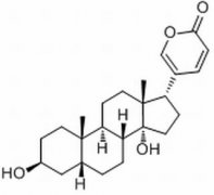 蟾毒灵 分析标准品,HPLC≥98% 465-21-4