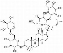 20(R)人参皂苷Rg3 分析标准品,HPLC≥98% 38