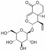 獐牙菜苷 分析标准品,HPLC≥98% 14215-86-2