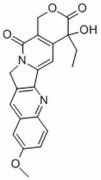 10-甲氧基喜树碱 分析标准品,HPLC≥98% 19685-10-0