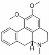 荷叶碱  分析标准品,HPLC≥98% 475-83-2