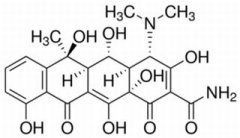 土霉素 分析标准品,HPLC≥98% 79-57-2