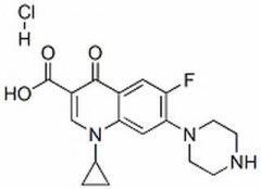 盐酸环丙沙星 分析标准品,HPLC≥98% 93107-08