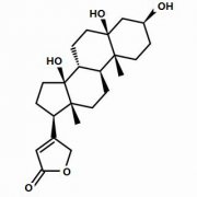 杠柳毒苷元 分析标准品,HPLC≥98% 514-39-6