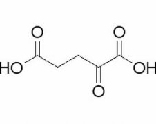 α-酮戊二酸 分析标准品,HPLC≥98% 328-50-7