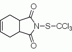 克菌丹 分析标准品,GC≥98% 133-06-2