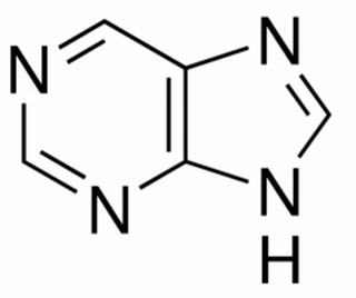 嘌呤 分析标准品,hplc≥98% 120-73-0