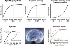 《Neuron》健康的大脑发育是一项人权