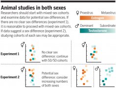 “激素问题”是动物研究中“雌性独有”的问题